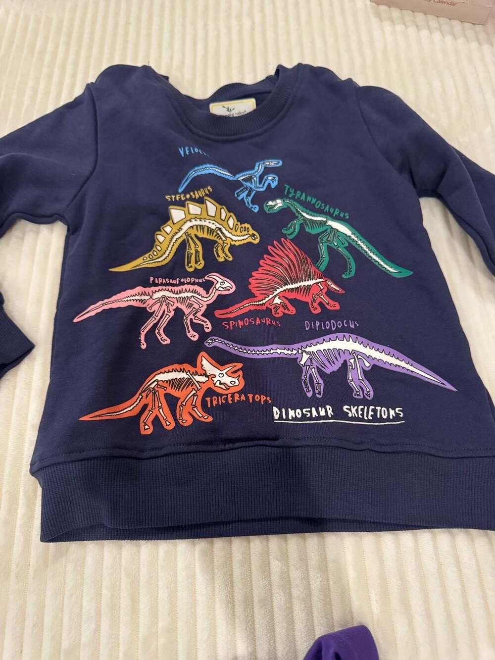 Jumping Meters Glow in the Dark Dinosaur Skeletons Pullover Sweatshirt